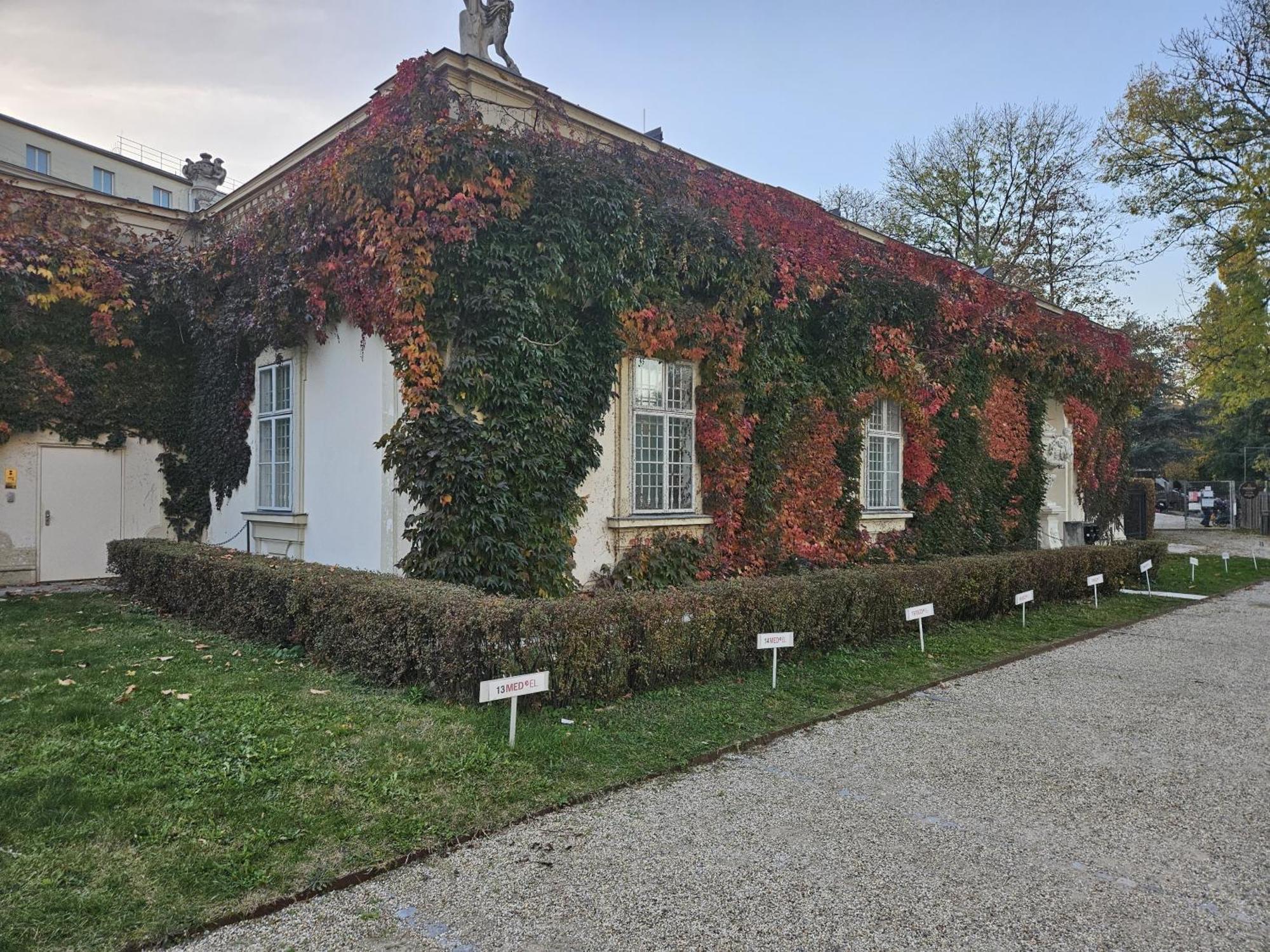 Mauthaus Lichtenstein Viena Exterior foto